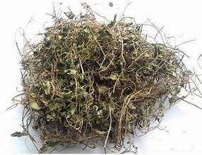 Brahmi