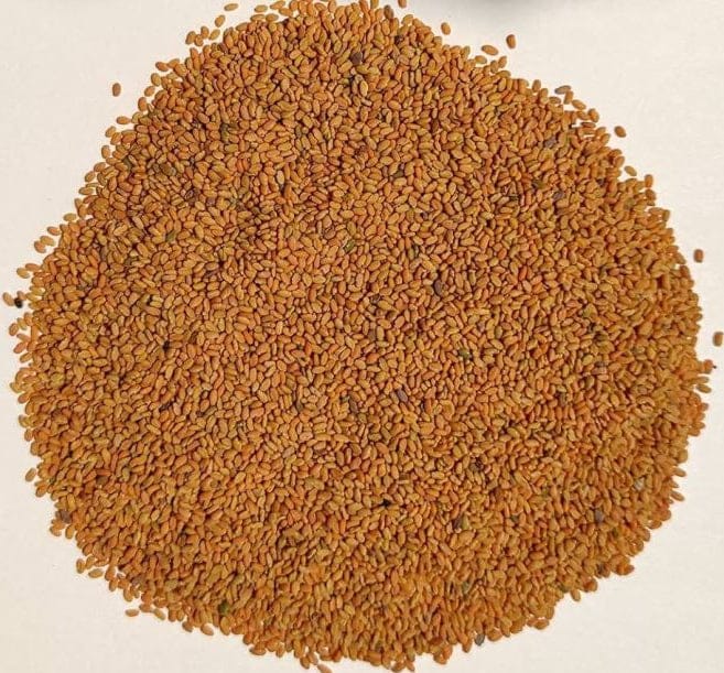 Fenugreek