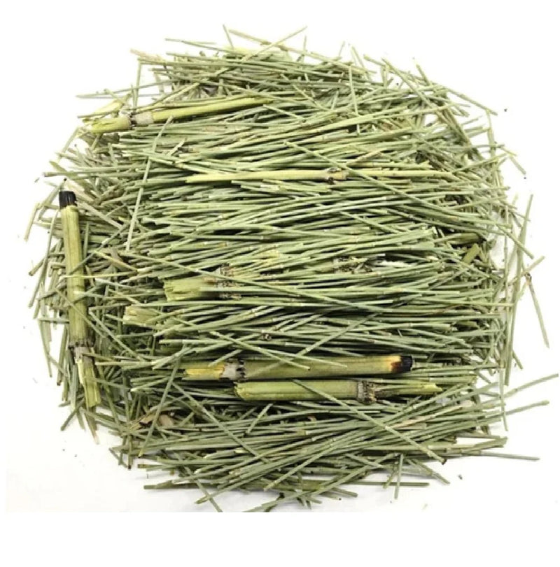 Horsetail